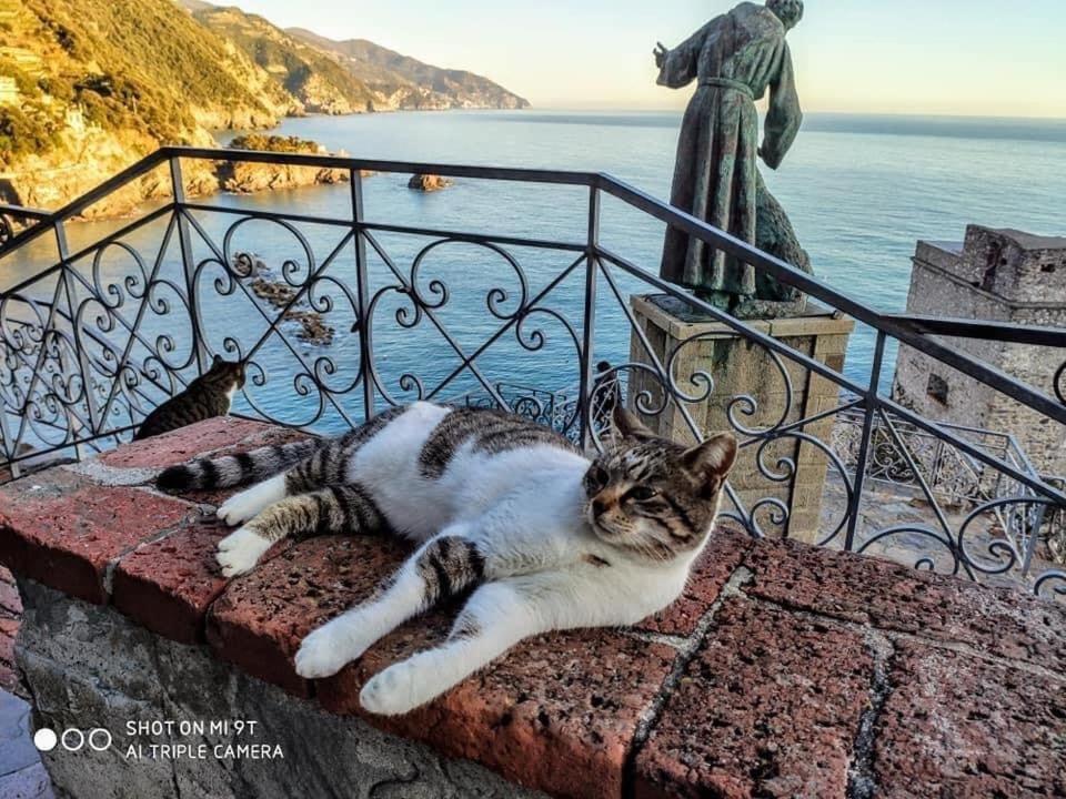 Hotel La Rosa Dei Venti Monterosso al Mare Zewnętrze zdjęcie