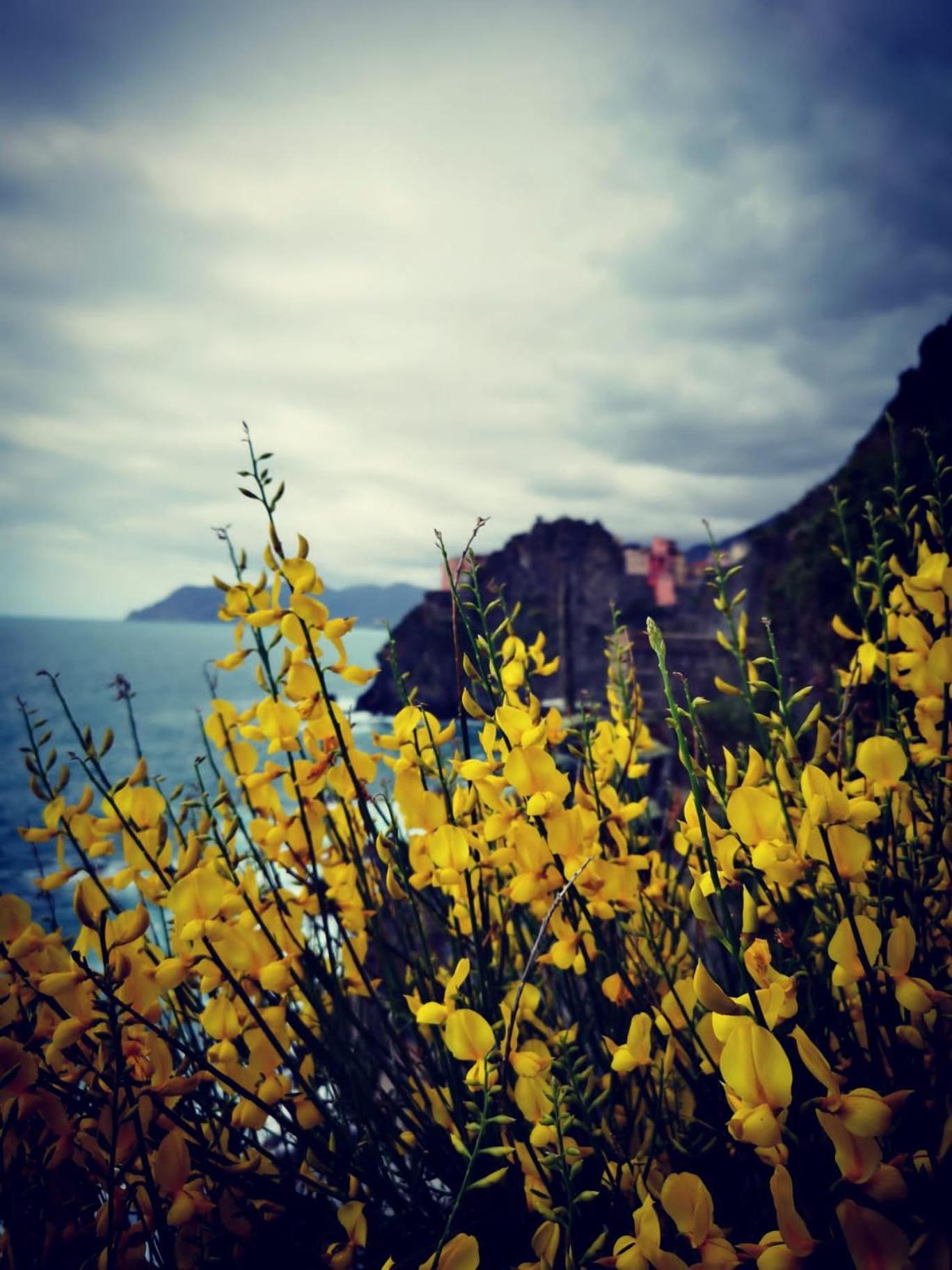 Hotel La Rosa Dei Venti Monterosso al Mare Zewnętrze zdjęcie